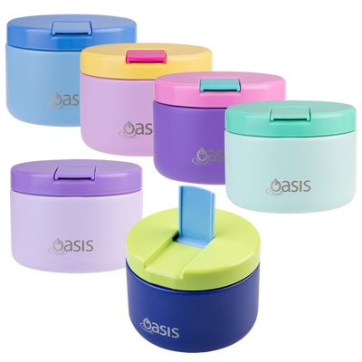 Oasis food flask 300ml