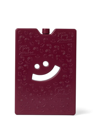 The somewhere co large ice brick- burgundy