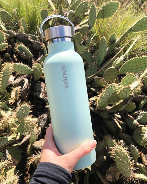 Ever Eco Insulated Bottle - Sage