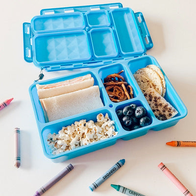 Go Green Large Lunchbox - Blue