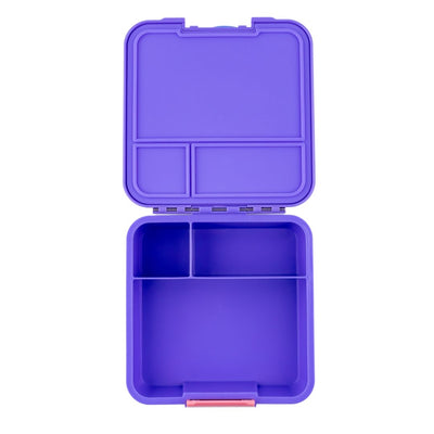 Little lunchbox Co Bento Three - Grape