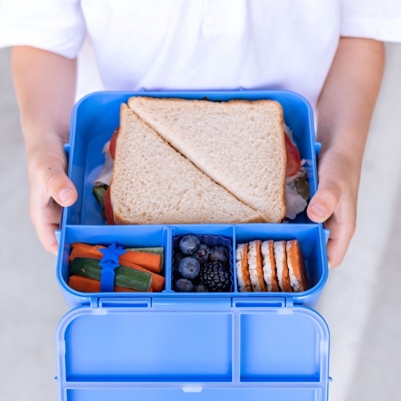 Little Lunchbox Co Bento Three Plus - Blueberry