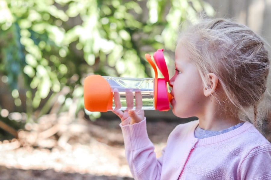 Bbox Sport Spout Bottle - Strawberry Shake